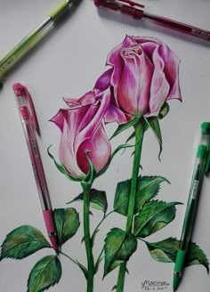 a drawing of two pink roses with green leaves next to crayons and markers