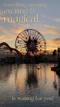 an amusement park with a ferris wheel in the background and text that reads, something amazing exciting & magical is waiting for you