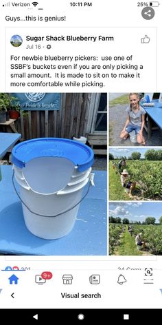 an image of a bucket full of blueberrys on the facebook page, with other pictures and captions