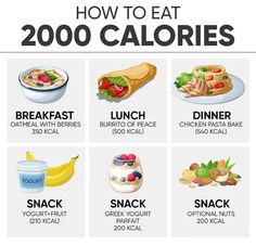 Healthy 2000 Calorie Meal Plan, What Does 2000 Calories Look Like, 2000calorie Meal Plan, 2000 Kcal Meal Plan, Under 2000 Calorie Meal Plan, Healthy Proportioned Meals, 2000 Calorie Vegan Meal Plan, 2200 Calorie Meal Plan For Women, 2500 Calorie Meal Plan For Women