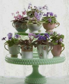 the book is open to show an image of coffee cups and flowers on a cake stand