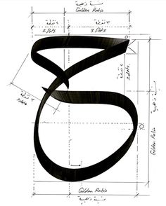 a drawing of the letter s in black and white, with lines drawn across it