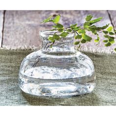 a glass vase with some green leaves in it