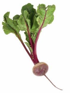 a turnip with green leaves and red stems