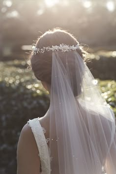 the back of a bride's head wearing a veil