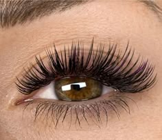 2d Lashes, Long Thick Eyelashes, Lashes Fake Eyelashes, Thick Lashes, Girl Things, Longer Eyelashes, Fake Eyelashes, Eyelash Extensions, Eyelashes