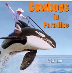 a man riding on the back of an orca whale in the ocean with words cowboys in paradise