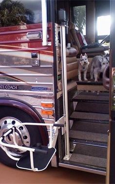 a dog is standing on the steps of a firetruck that has its door open