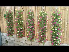 flowers are growing on the side of a fence