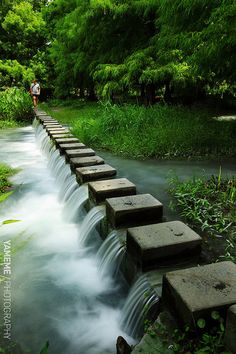 a man walking across a river next to a forest filled with green trees and water