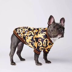 a small dog wearing a yellow and black shirt with an ornate design on it's chest