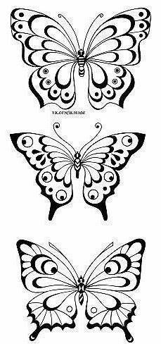 three butterflies with different shapes and sizes on their wings, one is black and white