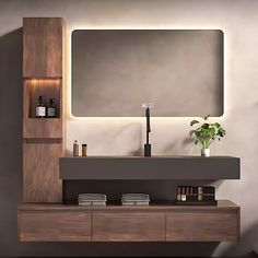 a bathroom vanity with a mirror above it and shelves below the sink, along with a potted plant