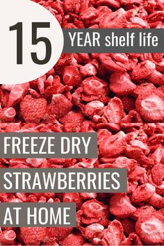 a pile of freeze dry strawberries with the words 15 year shelf life