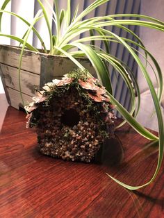 a bird house is sitting on a table next to a plant