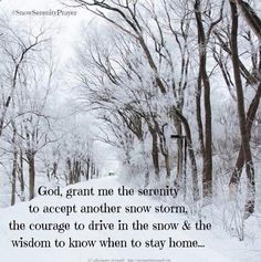 a snow covered road with trees and a quote about god, grant me the serenity to accept another snow storm