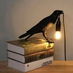 a black bird sitting on top of two books with a light bulb attached to it