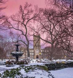 a clock tower in the middle of a snowy park with trees and bushes on either side