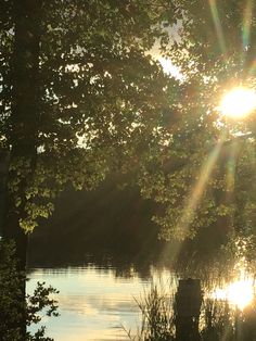 the sun shines brightly through the trees over water