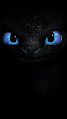 the blue eyes of a black cat are glowing in the dark