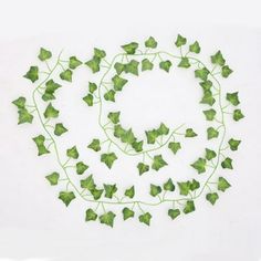 green ivy leaves arranged in a circle on a white background