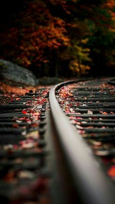 a train track in the middle of an autumn scene with leaves on it and trees behind