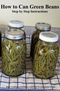 four jars filled with green beans sitting on top of a towel