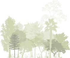 an image of trees and grass on a white background