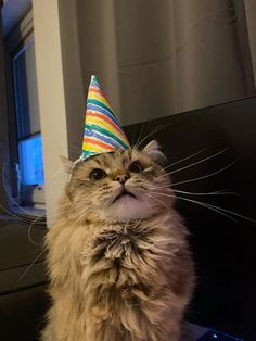 a cat wearing a party hat sitting on top of a laptop