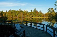 a wooden dock sitting on top of a lake next to a forest filled with trees