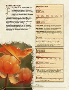 the back side of a brochure with an orange flower