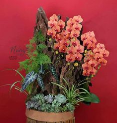 an arrangement of flowers and plants in a wooden container on a table next to a red wall