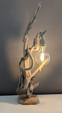 a light that is on top of a tree branch