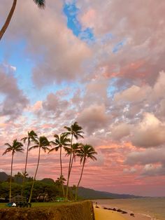 palm trees line the beach as the sun sets