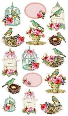 some birds are sitting on top of a birdcage with flowers and eggs in it