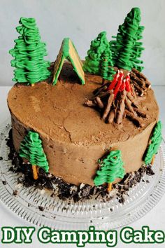 there is a cake with trees on it and the words diy camping cake above it