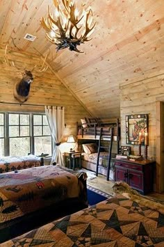 two beds in a room with wooden walls and ceilinging, one has a deer head mounted on the wall