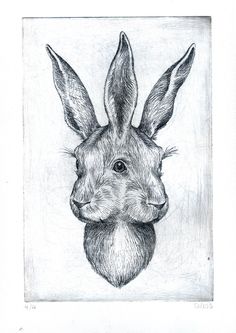 a black and white drawing of a rabbit's head with long ears, looking straight ahead