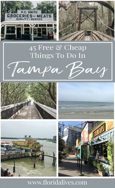 the top things to do in tampa bay