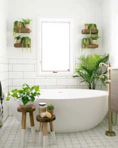 a white bath tub sitting in a bathroom next to a window with plants on it