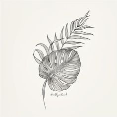 a black and white drawing of a leaf