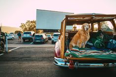 Best Drive-In Movie Theaters Across the U.S.A