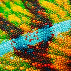 the colorful pattern is made up of circles and dots