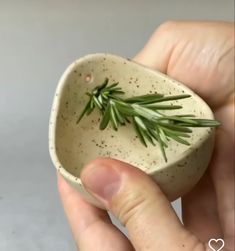 a person is holding a small bowl with a sprig of rosemary in it