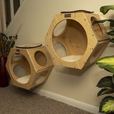 two wooden bird feeders sitting on the ground next to a houseplant and potted plant