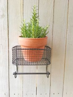 a potted plant sitting on top of a metal shelf