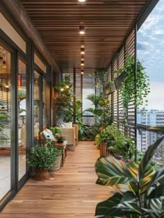 a balcony with lots of plants and potted plants on the outside, along with wooden flooring