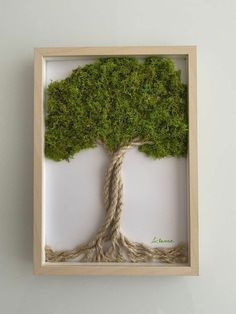 a tree with its roots wrapped around it is in a wooden frame on the wall