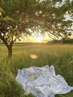 a blanket is laying in the grass under a tree with the sun setting behind it