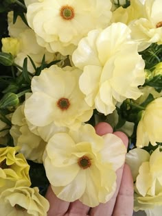 a person holding some yellow flowers in their hand